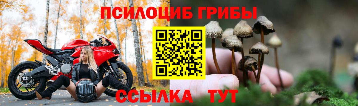 Псилоцибиновые грибы Magic Shrooms  Вход с VPN  Можга  купить   Галлюциногенные грибы Magic Shrooms 