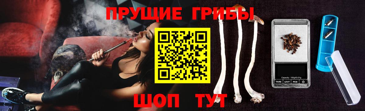 Галлюциногенные грибы Cubensis Можга